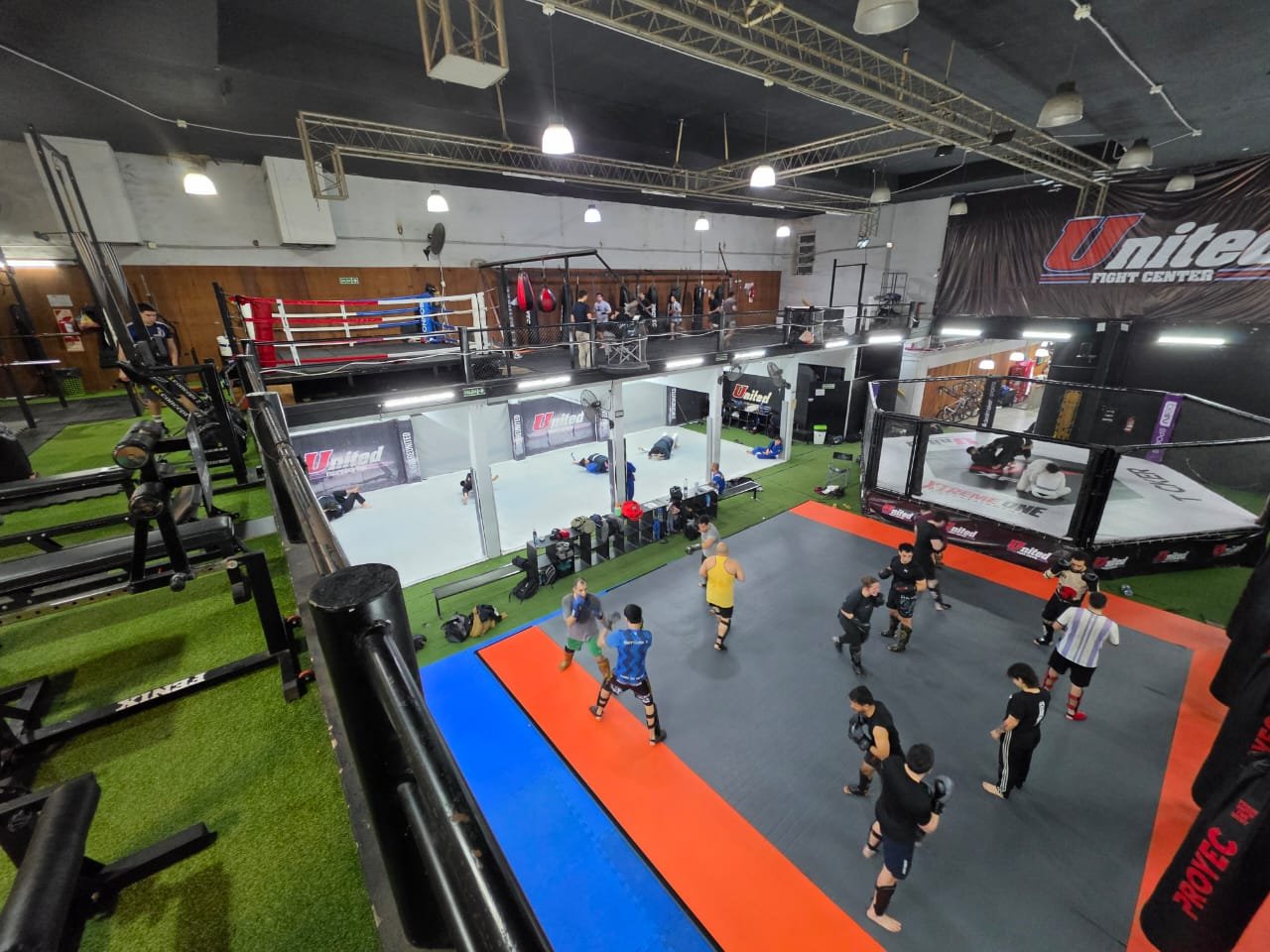 United Fight Center: jaula de MMA, tatami y entrenamiento